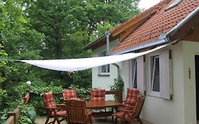 Holiday House Krkavec